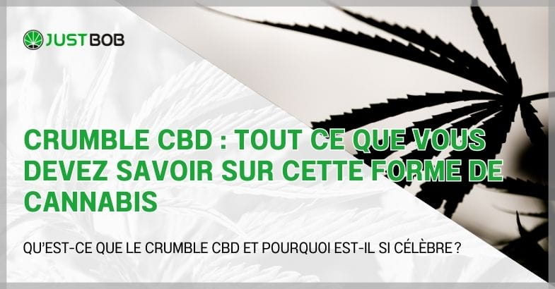 Crumble CBD : tout ce que vous devez savoir