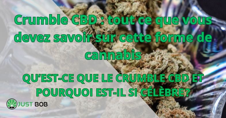 Crumble CBD : tout ce que vous devez savoir sur cette forme de cannabis