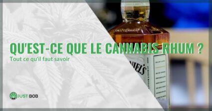 cannabis rhum | Justbob