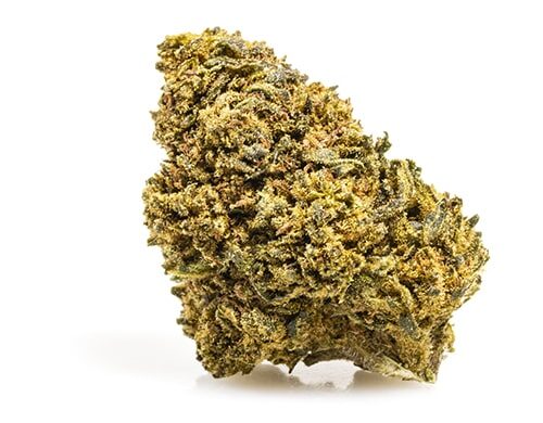 Fleurs cbd de Amnesia CBD Boost
