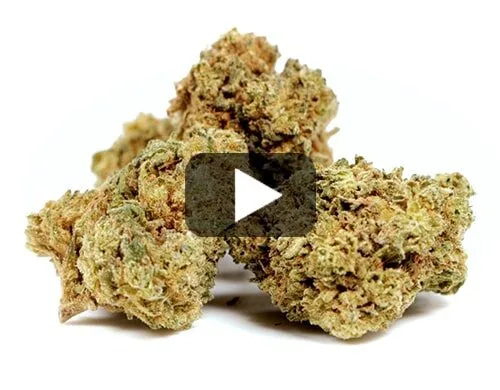 cbd-france-gelato-cbd-boost