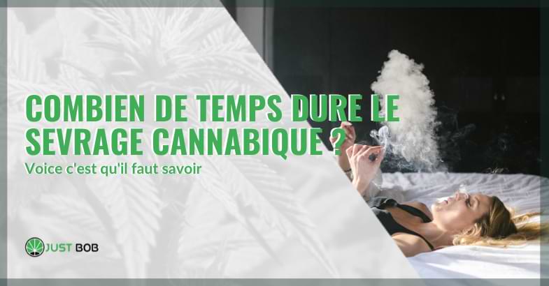 combien de temps dure le sevrage cannabique | Justbob