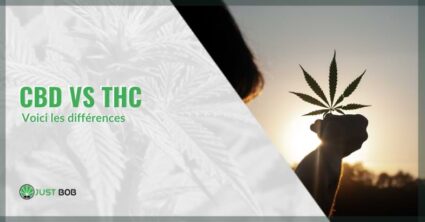 différences entre le thc et le cbd