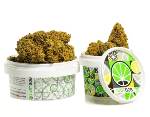 Fleurs séchées de Fleur de CBD de qualité supérieure dans un récipient hermétique