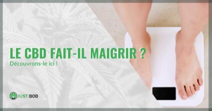 Le cbd fait-il maigrir?