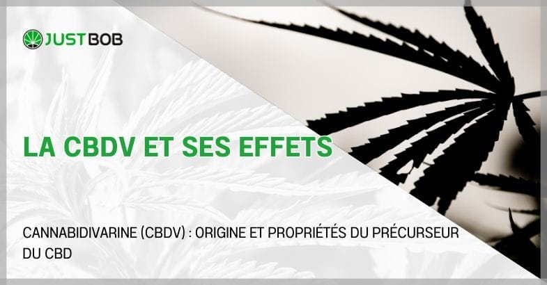 La CBDV et ses effets