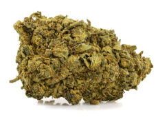 fleur cbd de la skunk h4 cbd