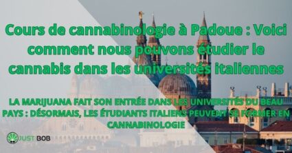 Cours de cannabinologie à Padoue