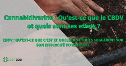 Cannabidivarine : Qu'est-ce que le CBDV et quels sont ses effets ?