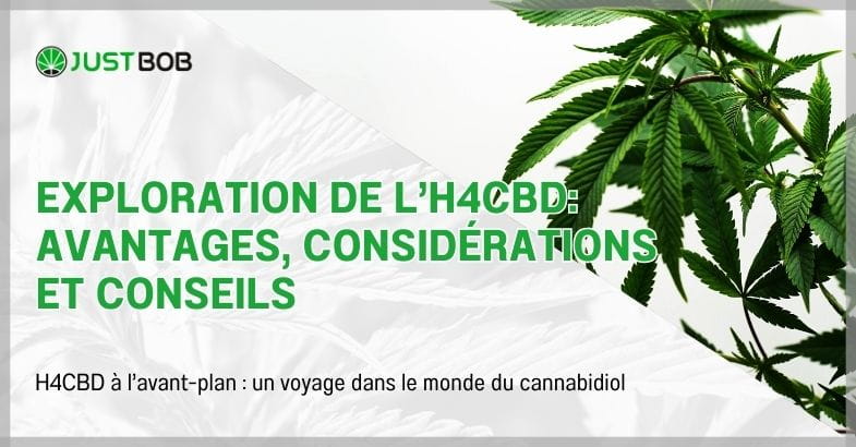 Exploration de l'H4CBD: avantages, considérations et conseils