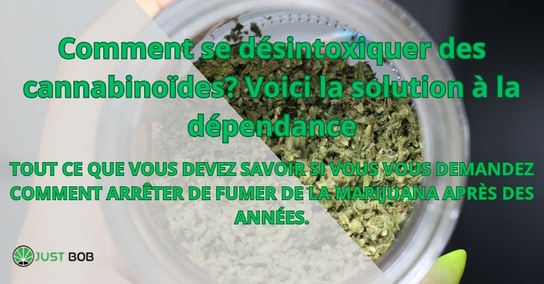 Comment se désintoxiquer des cannabinoïdes? Voici la solution à la dépendance