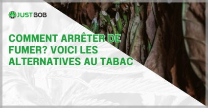 Comment arrêter de fumer? Voici les alternatives au tabac