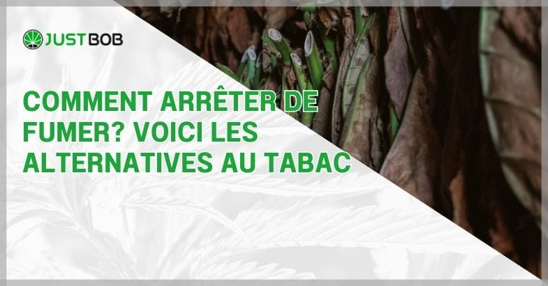 Comment arrêter de fumer? Voici les alternatives au tabac