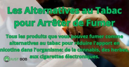 Les Alternatives au Tabac pour Arrêter de Fumer