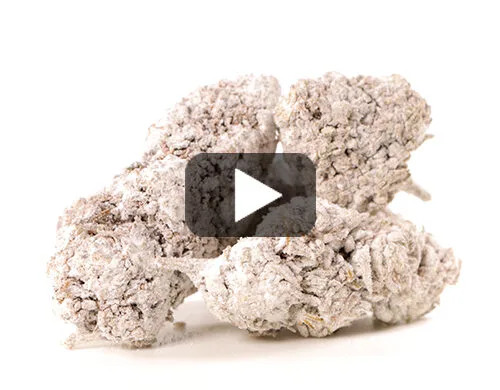 aperçu-vidéo-og-super-boost-fleur-de-cbd