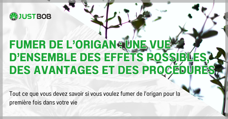 Fumer de l’origan