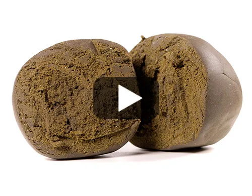 nepalese-Video-haschich-cbd