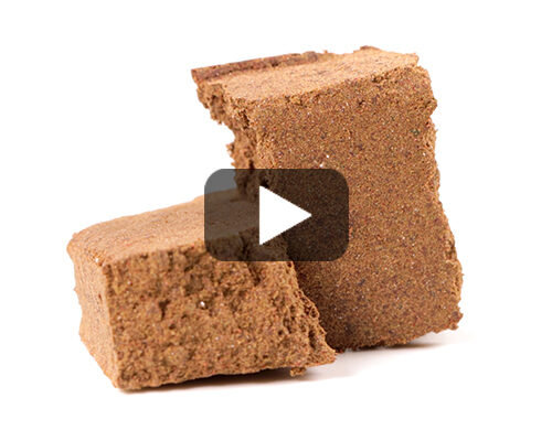 orange-dry-Video-haschich-cbd