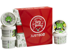 Boîte ouverte Justbob XMAS KIT avec plusieurs contenants de fleur de CBD légale, présentant la marque de Noël et le design de feuille de cannabis, parfait pour les cadeaux des fêtes 