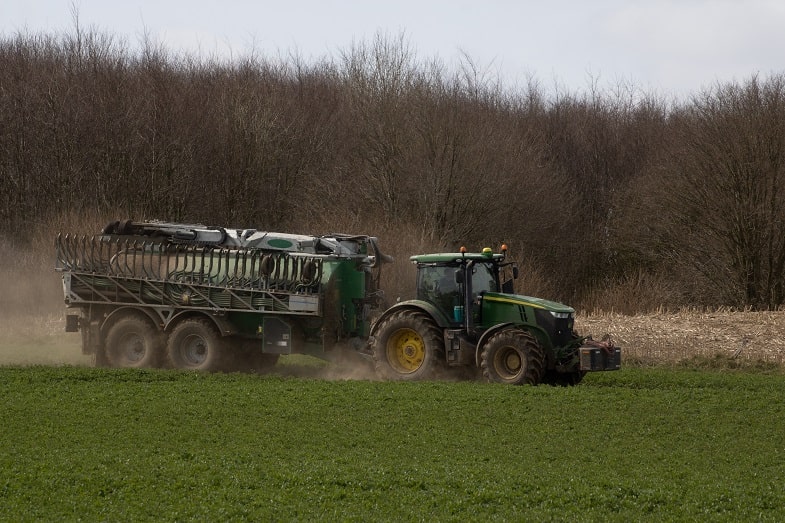 Les Fertilisants pour la Cannabis 