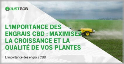 L’importance des engrais CBD