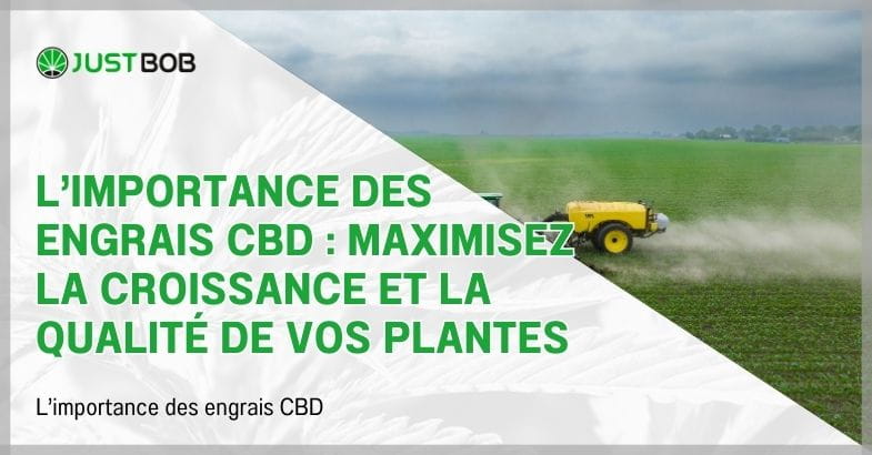 L’importance des engrais CBD