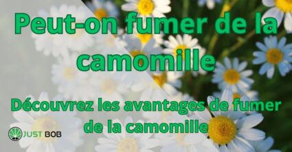 Peut-on fumer de la camomille