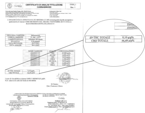 Image d'un certificat d'analyse des cannabinoïdes mettant en évidence les résultats du THC et du CBD, délivré par un laboratoire italien accrédité