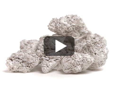 Gros plan détaillé de Fleurs de CBD