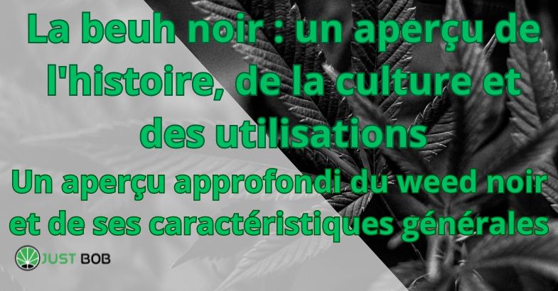 La beuh noir : un aperçu de l'histoire, de la culture et des utilisations