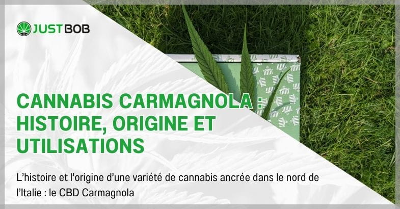 Cannabis Carmagnola