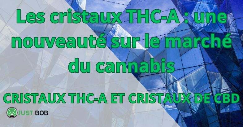 Les cristaux THC-A : une nouveauté sur le marché du cannabis