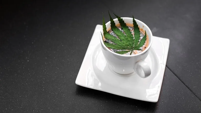 avantages-curing-hash-froid-chaud Les avantages du curing hash chaud froid
