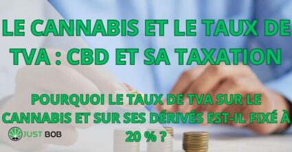 LE CANNABIS ET LE TAUX DE TVA : CBD ET SA TAXATION