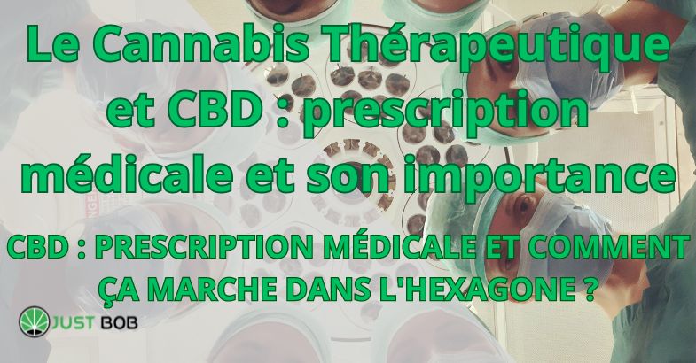 Le Cannabis Thérapeutique et CBD : prescription médicale et son importance