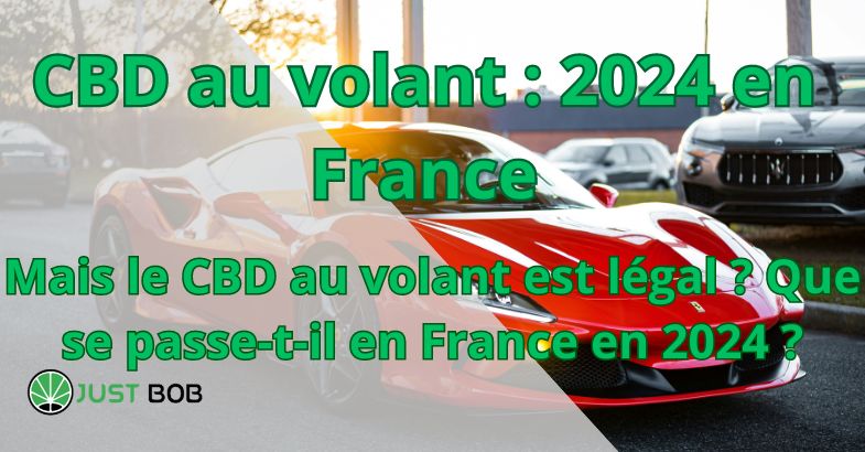 CBD au volant : 2024 en France