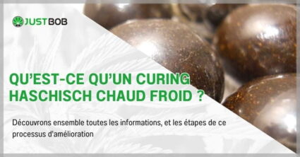Qu’est-ce qu’un curing haschisch chaud froid ?