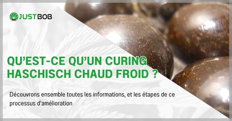 Qu’est-ce qu’un curing haschisch chaud froid ?