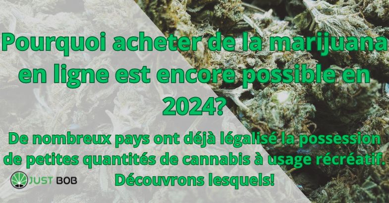 Pourquoi acheter de la marijuana en ligne est encore possible en 2024?