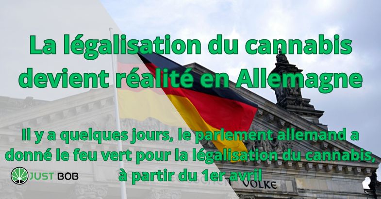 La légalisation du cannabis devient réalité en Allemagne