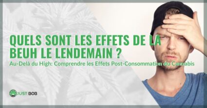 Quels sont les effets de la beuh le lendemain de sa consommation | Justbob