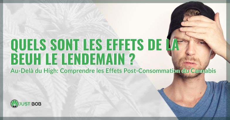 Quels sont les effets de la beuh le lendemain de sa consommation | Justbob