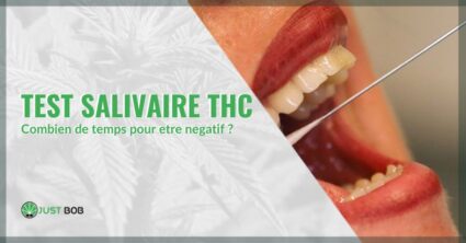 Test salivaire THC : combien de temps pour etre negatif | Justbob