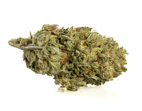 Fleur de CBD Alpine CBG Small Buds