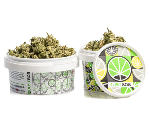 Fleurs CBD Alpine CBG Small Budsde Cannabis Light dans un conteneur blanc