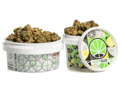 Fleurs CBD Blueberry Small Buds de Cannabis Light dans un conteneur blanc