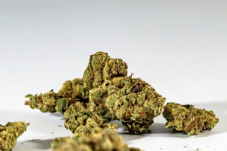 Bourgeons de cannabis légaux | Justbob