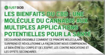 Les bienfaits du CBD : une molécule du cannabis aux multiples applications potentielles pour la santé