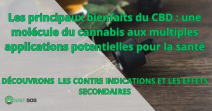 Les principaux bienfaits du CBD