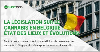 La législation sur le cannabis en Belgique